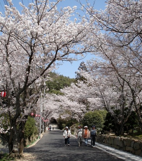 桜と熊野神社
